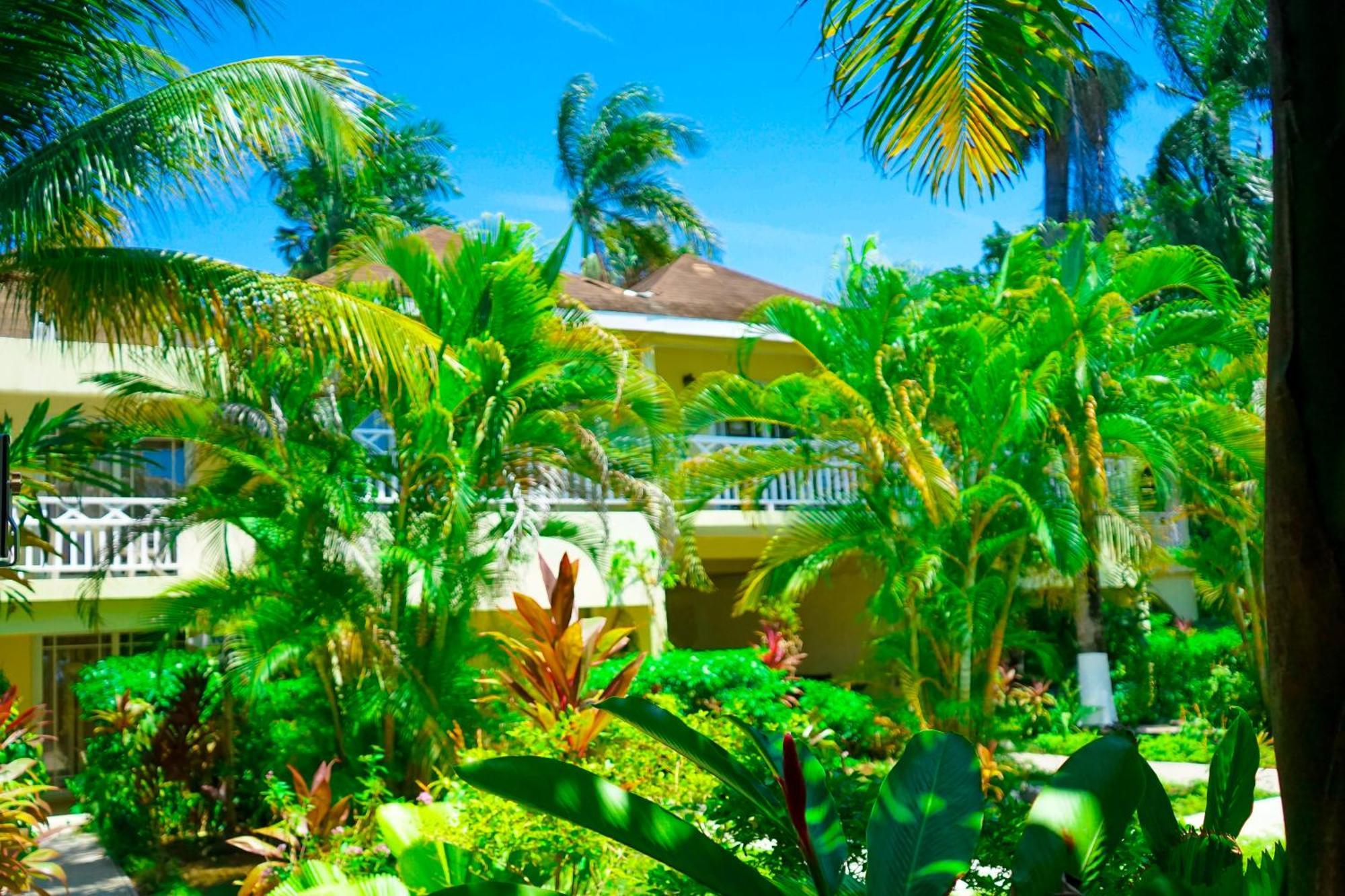 Ayurveda Resort Negril Eksteriør billede