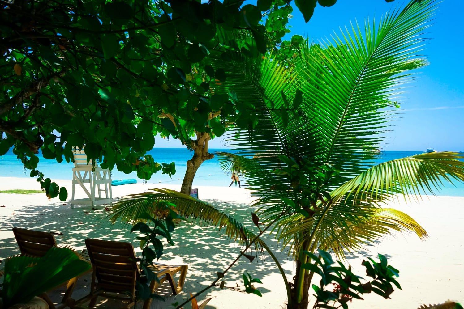 Ayurveda Resort Negril Eksteriør billede